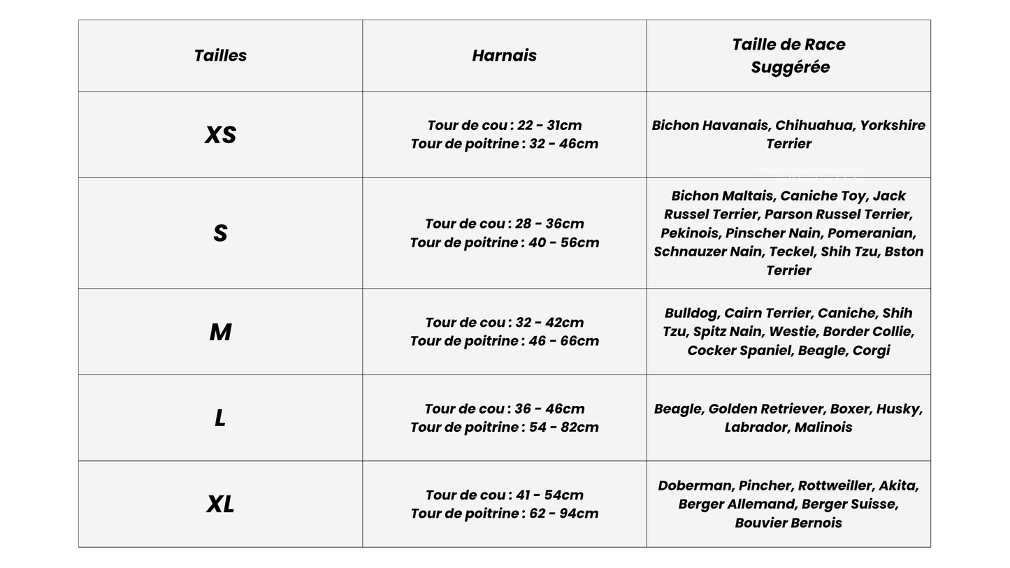 Taille de Race Suggérée