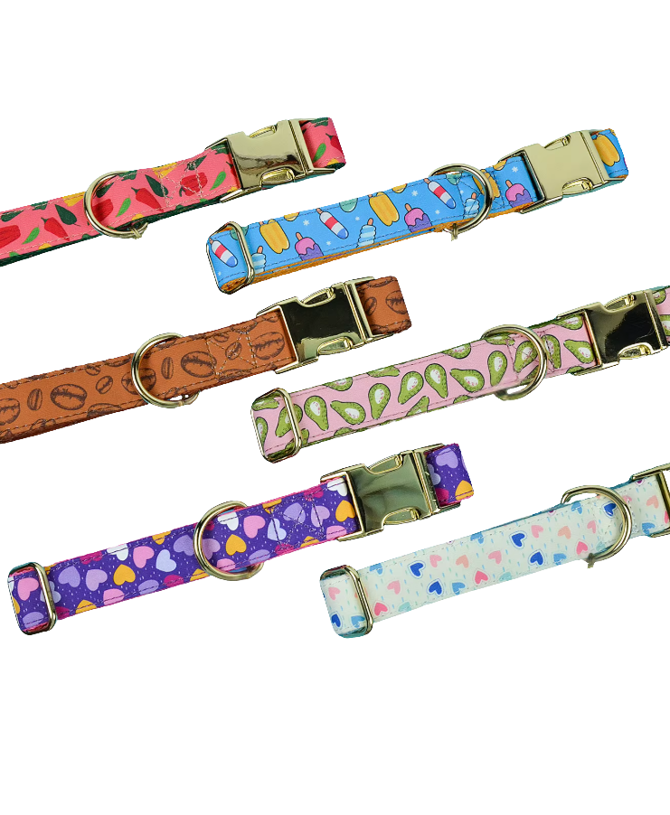 Collier élégant et confortable pour chien