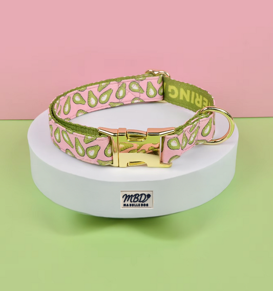 Collier élégant et confortable pour chien