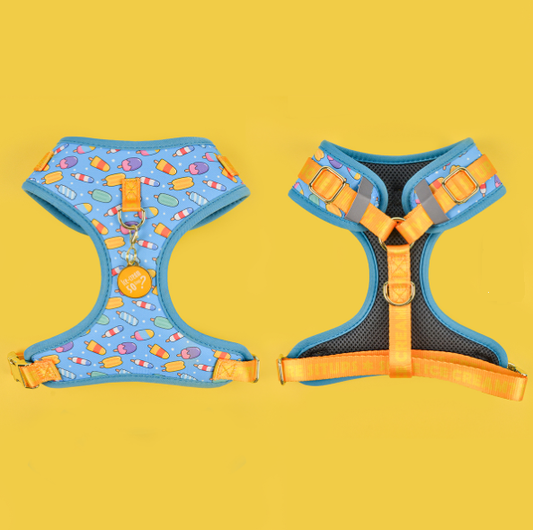 Harnais élégant et confortable pour chien