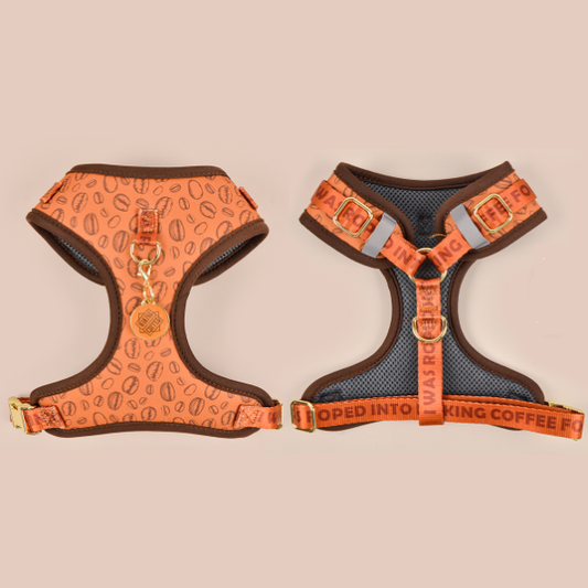 Harnais élégant et confortable pour chien