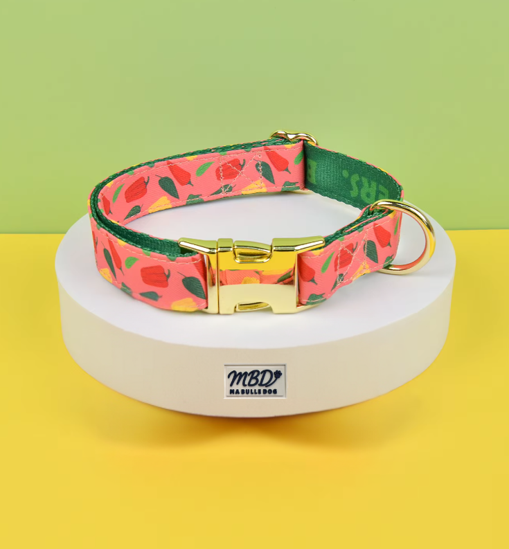 Collier élégant et confortable pour chien
