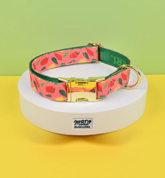 Collier élégant et confortable pour chien