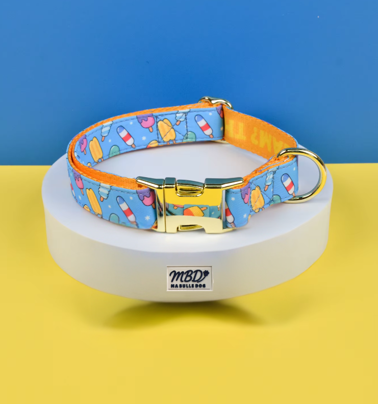 Collier élégant et confortable pour chien