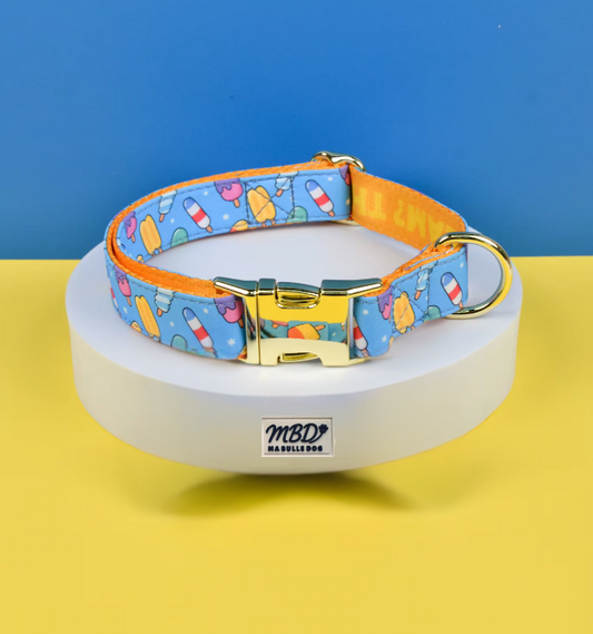 Collier élégant et confortable pour chien