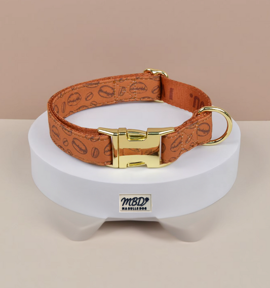 Collier élégant et confortable pour chien