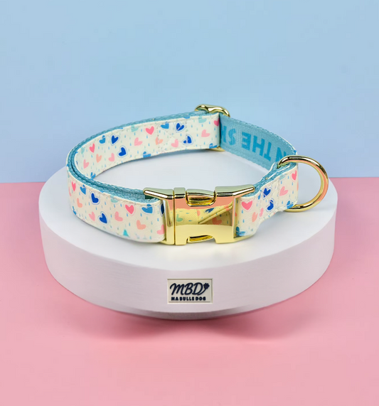 Collier élégant et confortable pour chien