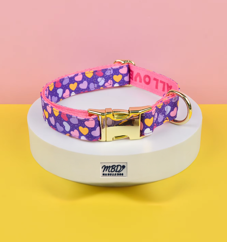 Collier élégant et confortable pour chien