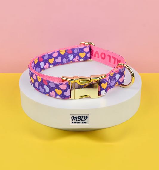 Collier élégant et confortable pour chien